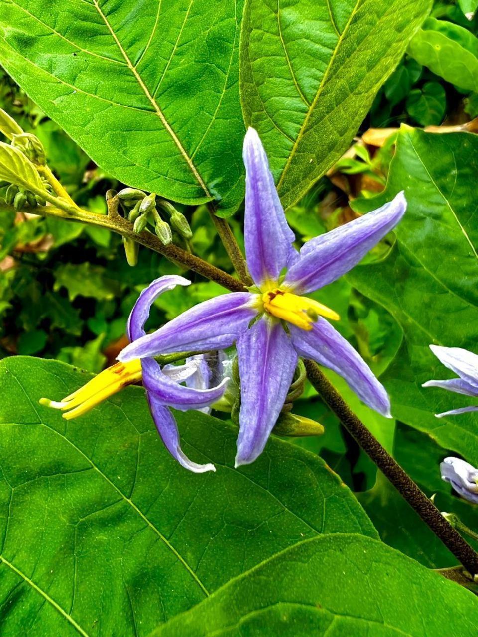 Arrecifes Refugio Natural Santa Marta  Zewnętrze zdjęcie
